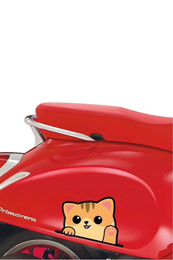 Sarman Kedi Sticker 14x9,5 Cm Su Geçirmez Yüksek Çözünürlüklü Araba Laptop Motorsiklet Kask Sticker