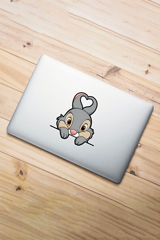 Sevimli Tavşan Sticker 14x14 Cm Su Geçirmez Yüksek Çözünürlüklü Araba Laptop Oto Motor Kask Sticker