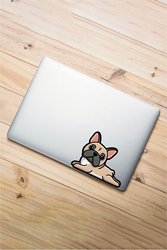Sevimli Köpek Sticker 13x10 Cm Su Geçirmez Yüksek Çözünürlüklü Araba Laptop Oto Motor Kask Sticker