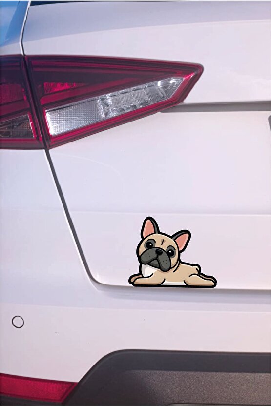 Sevimli Köpek Sticker 13x10 Cm Su Geçirmez Yüksek Çözünürlüklü Araba Laptop Oto Motor Kask Sticker