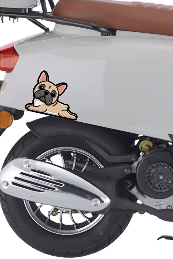 Sevimli Köpek Sticker 13x10 Cm Su Geçirmez Yüksek Çözünürlüklü Araba Laptop Oto Motor Kask Sticker