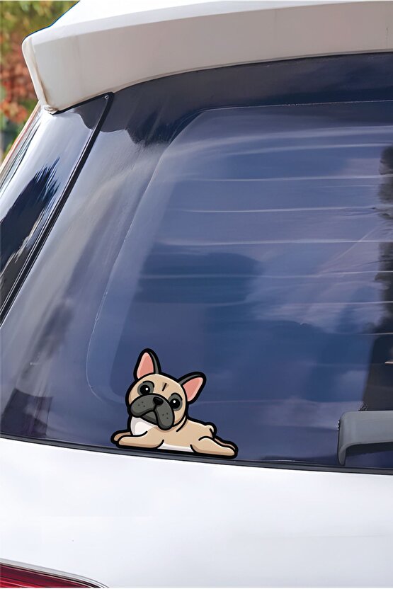 Sevimli Köpek Sticker 13x10 Cm Su Geçirmez Yüksek Çözünürlüklü Araba Laptop Oto Motor Kask Sticker