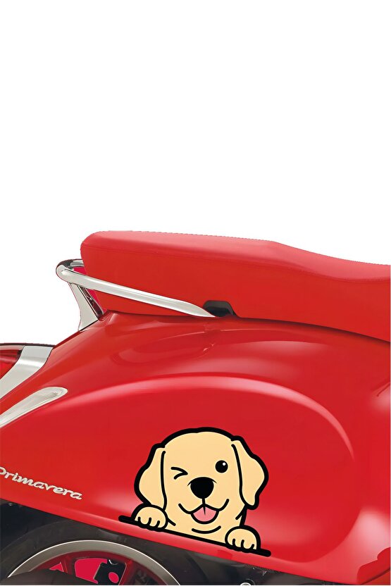 Golden Köpek Sticker 14x10,5 Cm Su Geçirmez Yüksek Çözünürlüklü Araba Laptop Motor Kask Sticker