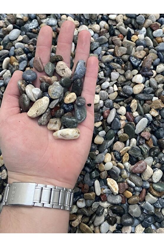 Doğal Dalaman Dere Çakılı Taşı 1 Kg 1-1,5 Cm Dere Çakıl Bahçe Peyzaj Saksı Teraryum Akvaryum Taş