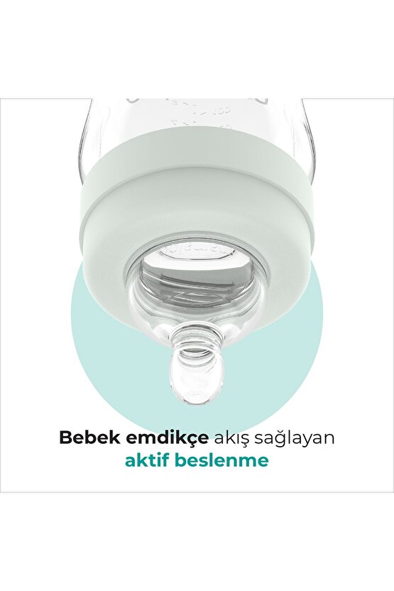 Gece & Gündüz Anti-kolik Biberon 270 Ml, 6 Ay , Orta Akışlı