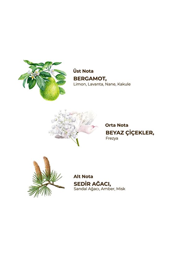 250 ml Tıraş Kolonyası No:2