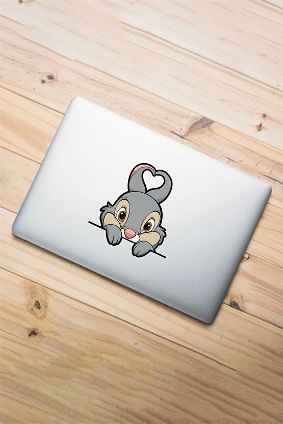 Sevimli Tavşan Sticker 14x14 Cm Su Geçirmez Yüksek Çözünürlüklü Araba Laptop Oto Motor Kask Sticker