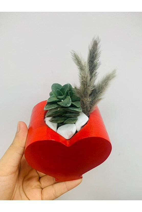 Kalp Saksı