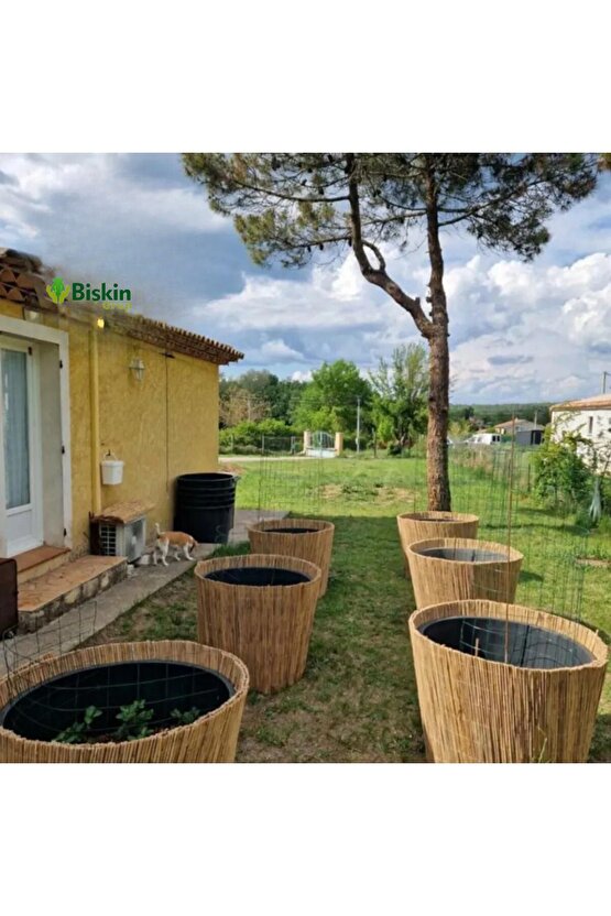 75cm Yükseklik X 150cm Genişlik Bambu Kamış Hasır Çit Dekoratif Bahçe Balkon Ve Duvar Çiti .