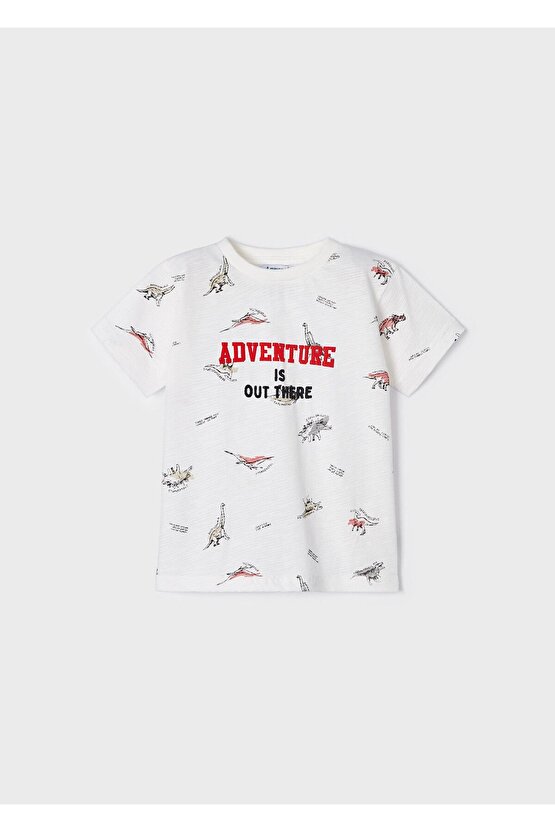 Erkek Çocuk Dinazor Baskılı T-shirt