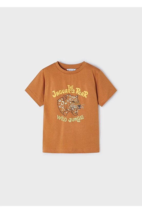 Erkek Çocuk Penye Takım 2 Tshirtlü