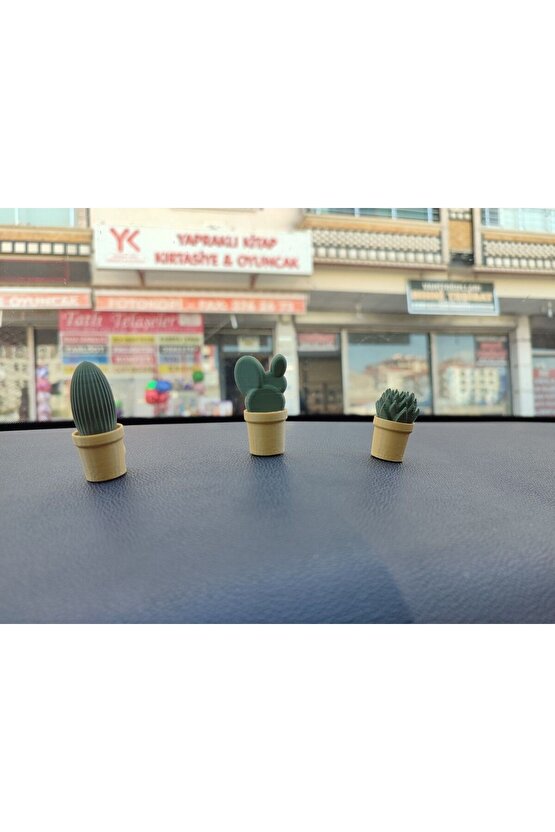 Otomobil Torpido Süsü Kaktüs Sukulent Cactus Succulent Süsü 3lü Ürün