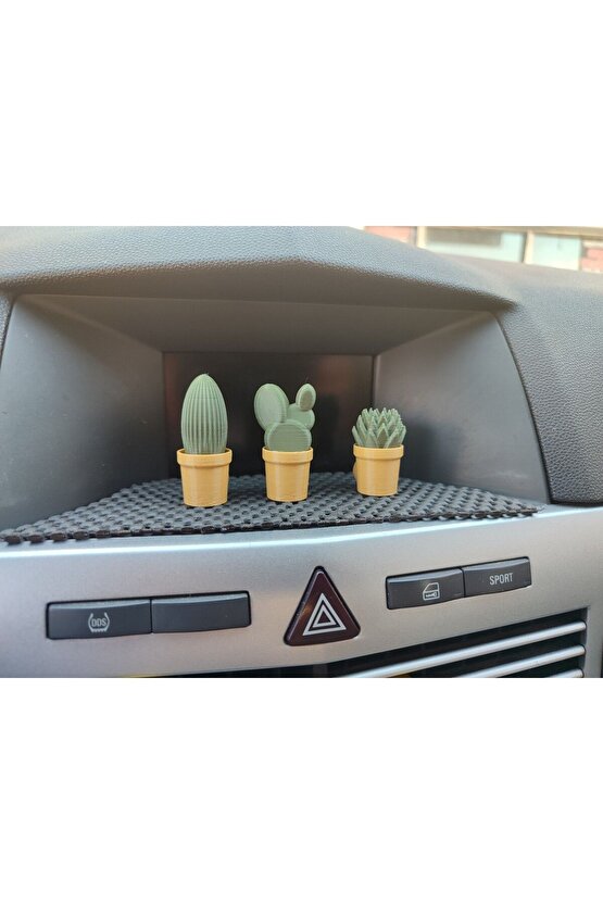 Otomobil Torpido Süsü Kaktüs Sukulent Cactus Succulent Süsü 3lü Ürün
