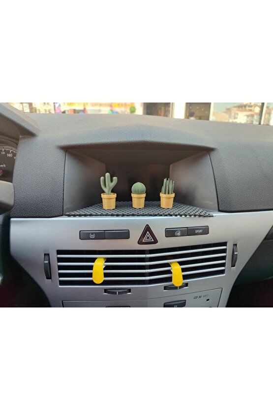 Otomobil Torpido Süsü Kaktüs Sukulent Cactus Succulent Süsü 3lü Ürün