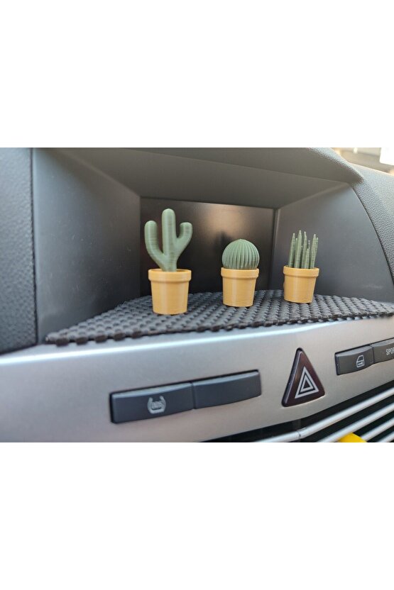 Otomobil Torpido Süsü Kaktüs Sukulent Cactus Succulent Süsü 3lü Ürün