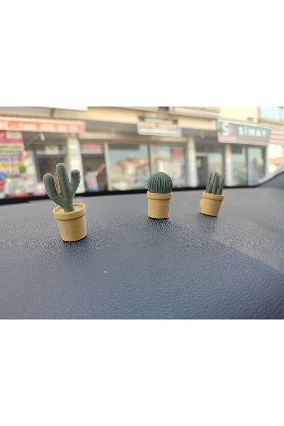 Otomobil Torpido Süsü Kaktüs Sukulent Cactus Succulent Süsü 3lü Ürün