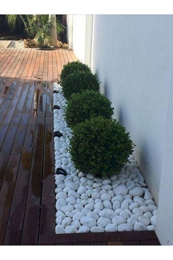 Beyaz Dolomit Taş 25 Kg 6-10 Cm Dere Taşı Çakıl Taşı Saksı Taşı Akvaryum Teraryum Taşı