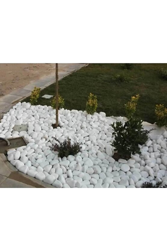 Beyaz Dolomit Taşı 25 Kg 2-4 Cm Bahçe Süsü, Ve Akvaryum Dekorasyonu Için Dere Çakılı