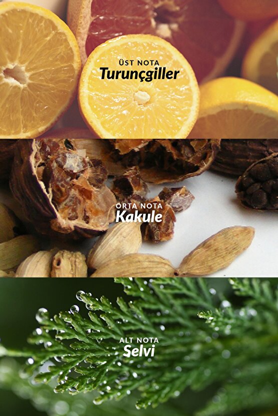 Full Speed Erkek Parfüm Edt 30 Ml.