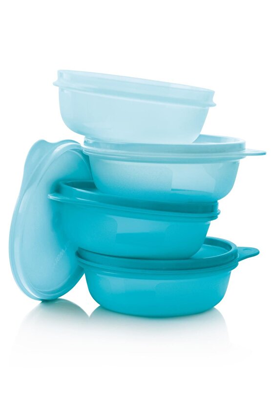 Saklama ve Servis Kabı 4lü Set 300 ml