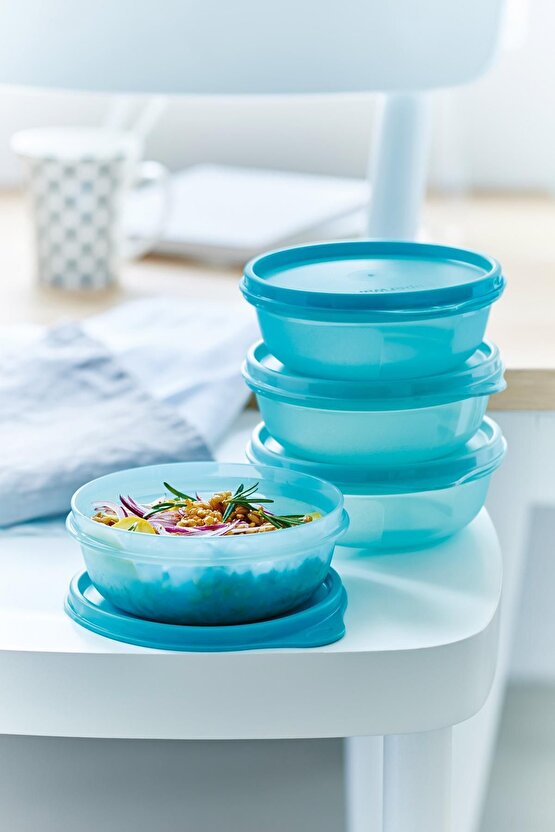 Saklama ve Servis Kabı 4lü Set 300 ml