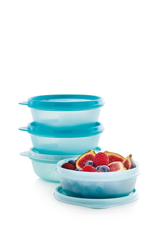 Saklama ve Servis Kabı 4lü Set 300 ml