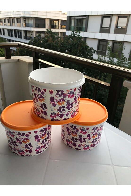 Saklama Kabı 3 Lü Desenli