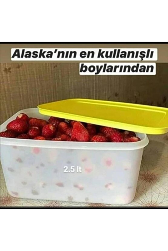 Alaska Buzdolabı Saklama Kabı ( 3 X 2.5 Lt )
