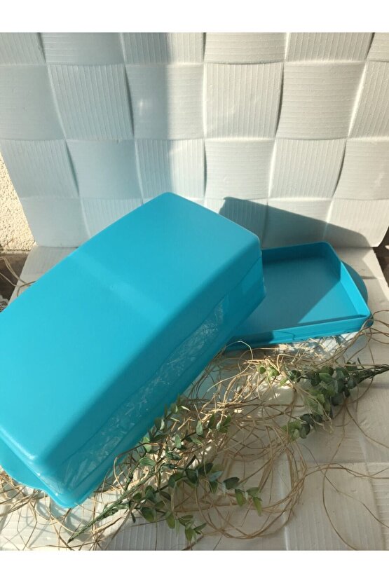 Eko Pasta Kek Saklama Servis Kabı Mavi