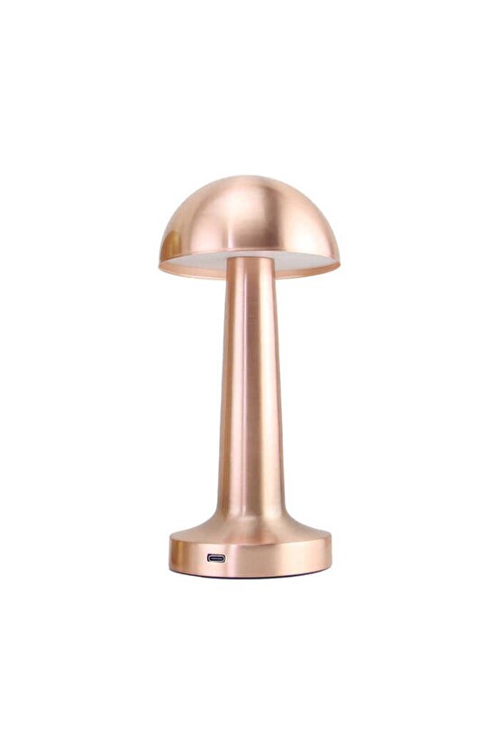 PT-700 USB ŞARJLI MASA LAMBASI