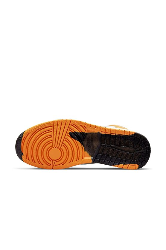 Air Jordan 1 Element Gore-Tex Erkek Sneaker