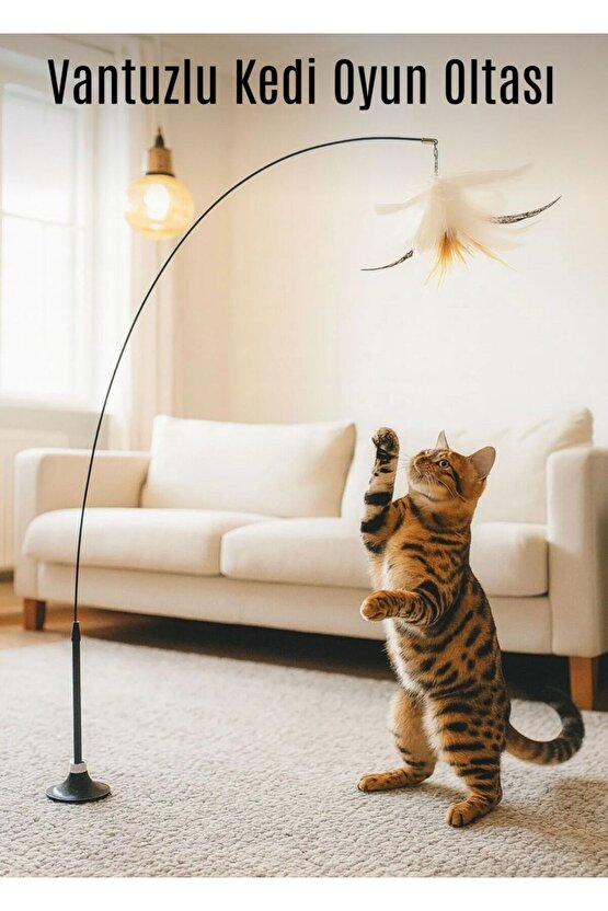 Vantuzlu Kedi Oyun Oltası – Tüy Toplu Kedi Eğlence Oyuncağı