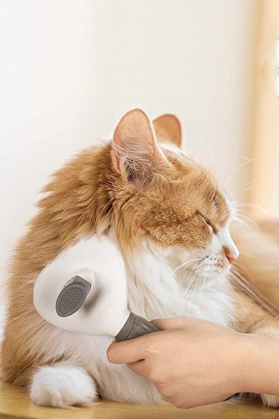 Pet Tarağı Otomatik Temizlenen Tuşlu Evcil Hayvan Fırçası Kedi Köpek Tüy Toplayıcı Tarak