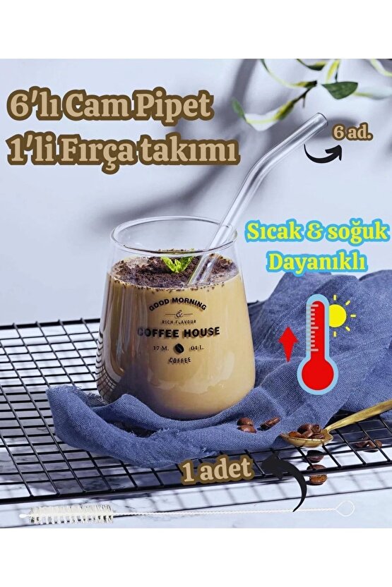 6lı Cam Pipet Termosilikat (ısıya Dayanıklı) Ve 1 Adet Pipet Temizleme Fırçası 1. Kalite CamPipet