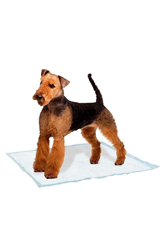 Genico Köpek Tuvalet Eğitim Pedi Large 10 Adet 60X90 Cm