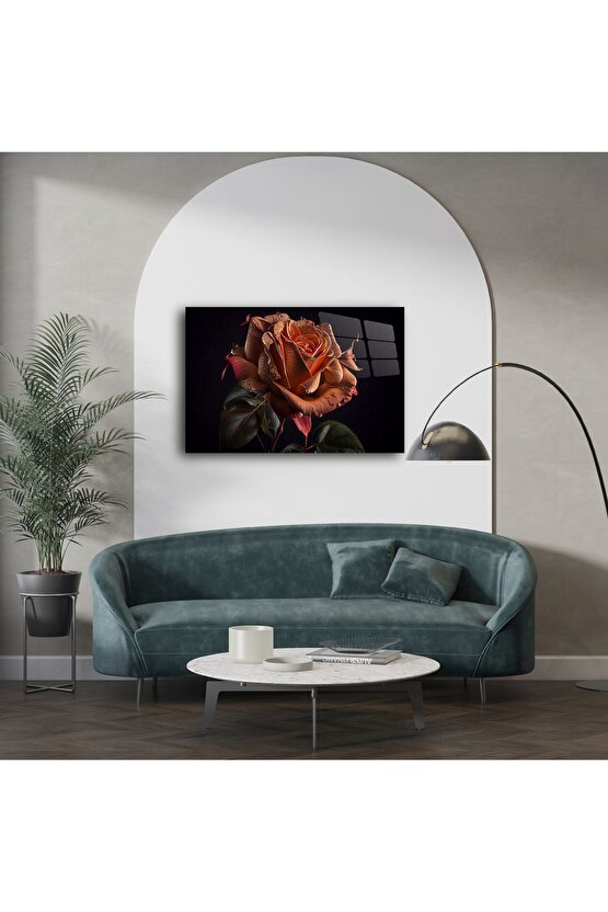 Premium Siyah Arka Plan Üzerinde Çiyli Gül Sanat Baskısı