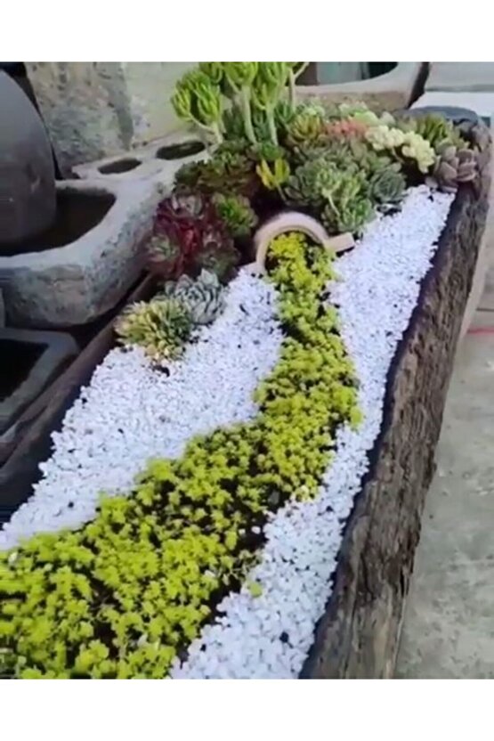 Beyaz Taş 25 Kg 2-4 Cm Beyaz Dolomit Taş Dere Taşı Çakıl Taşı Bahçe Süs Taşı Akvaryum Teraryum Taşı