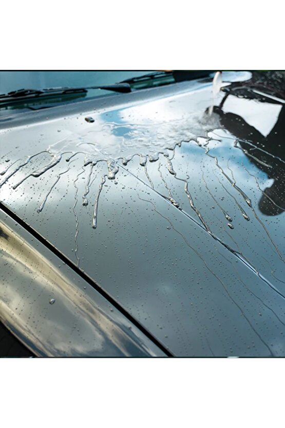 Boya Koruma Carnauba Cila 500 ml + Uygulama Bezi  Süngeri 10211176