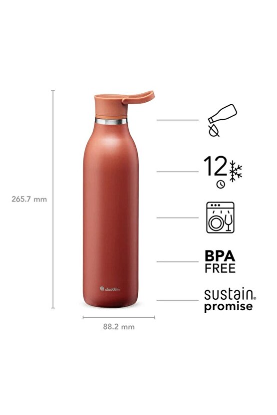 Cityloop Thermavac Ecycle Paslanmaz Çelik Su Şişesi 0.60 Lt