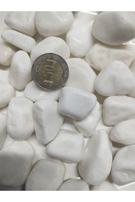 Beyaz Dolomit Taş 5 Kg 1,5-2,5cm Dere Çakıl Taşı Bahçe Süs Taşı Saksı Teraryum Taşı Akvaryum