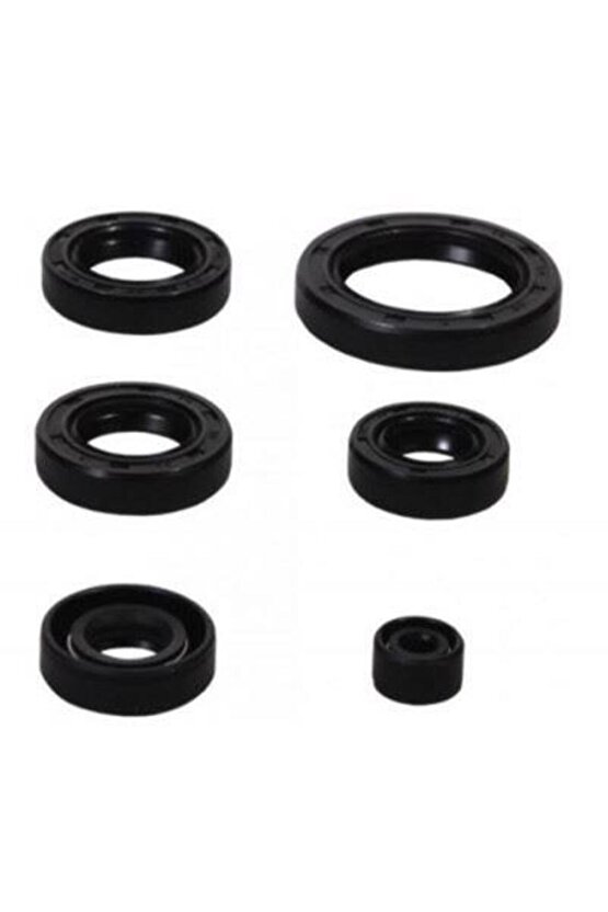Agk Cg 125-150-200 Keçe Takımı 6 Lı