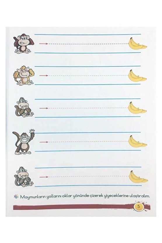 Çizgiler 4+