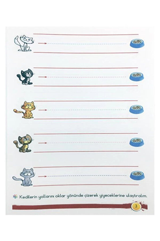 Çizgiler 4+