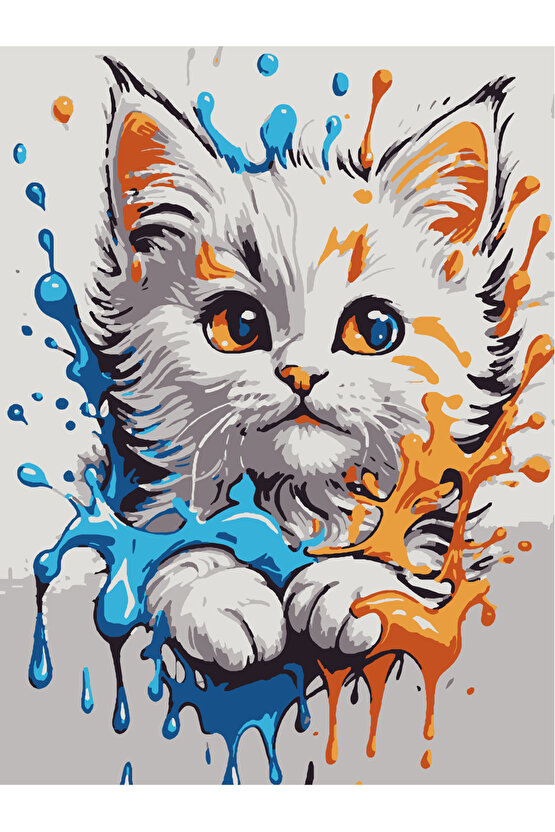 Sayılarla Boyama Kasnaklı Tablo Seti Fırça Boya Dahil 30x40 KEDİCİK