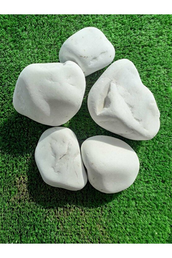Dolomit Taş 25 Kg 4-6 Cm Beyaz Dolomit Taş Saksı Dibi Dekoratif Taş Bahçe Süsleme Taşı Peyzaj Taşı