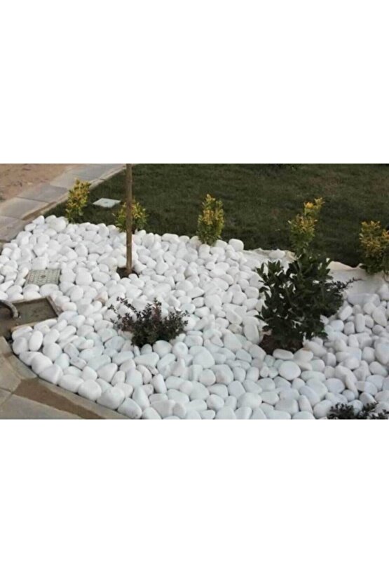 Dolomit Taş 25 Kg 4-6 Cm Beyaz Dolomit Taş Saksı Dibi Dekoratif Taş Bahçe Süsleme Taşı Peyzaj Taşı