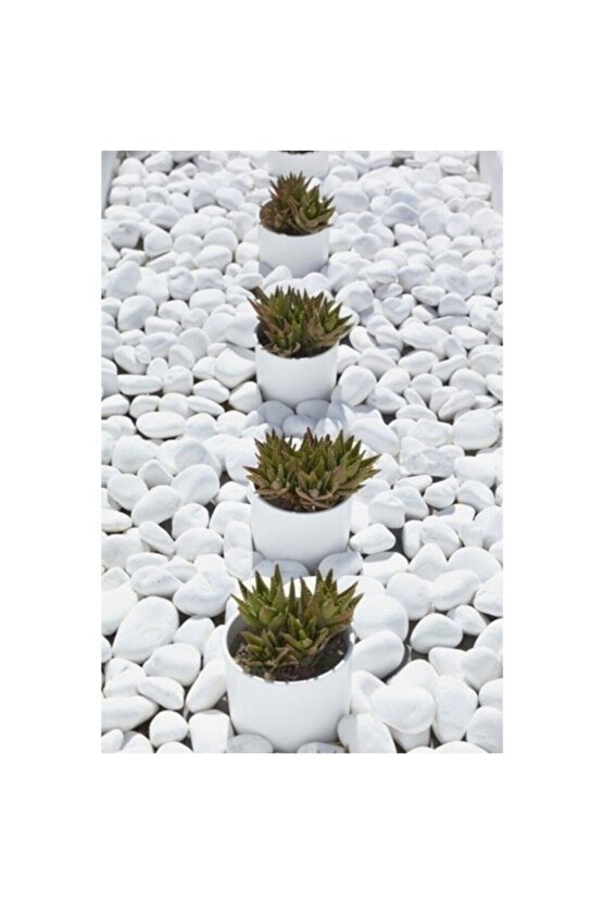Beyaz Dolomit 50 Kg 4-6 Cm Taş Dekoratif Taş Dere Taşı Bahçe Süs Taşı