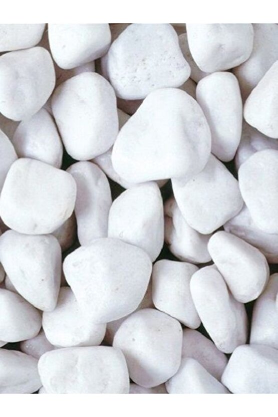 Beyaz Dolomit Taş 2 Kg 4-6 Cm Dere Taşı Çakıl Taşı Saksı Taşı Akvaryum Teraryum Taşı Bahçe Taşı