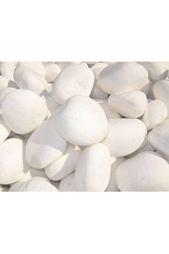 Beyaz Dolomit Taş 2 Kg 4-6 Cm Dere Taşı Çakıl Taşı Saksı Taşı Akvaryum Teraryum Taşı Bahçe Taşı