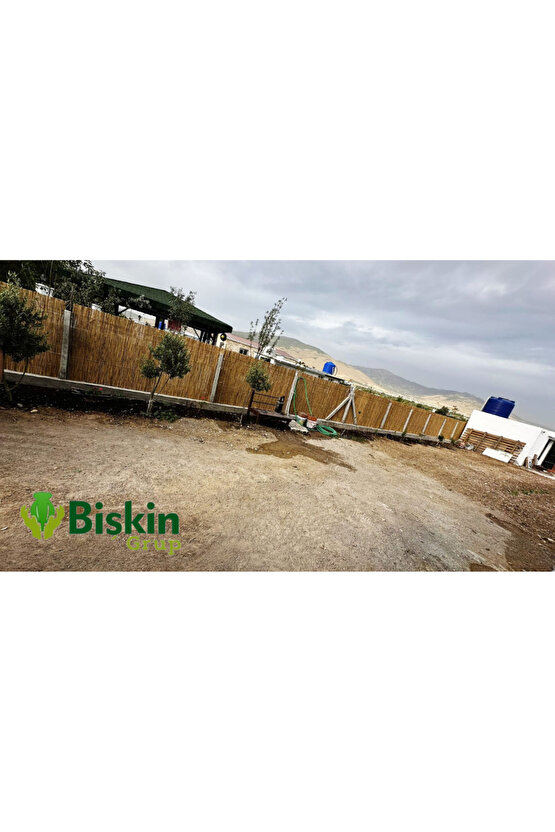250CM Yükseklik X 250CM Genişlik Doğal Bambu Kamış Hasır Çit Dekoratif Bahçe Balkon ve Duvar Çiti .